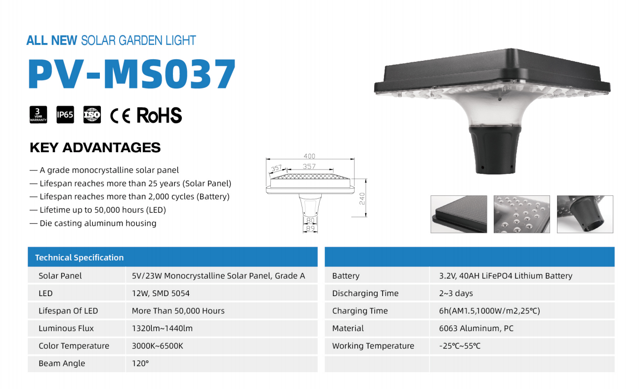 文件上传成功！