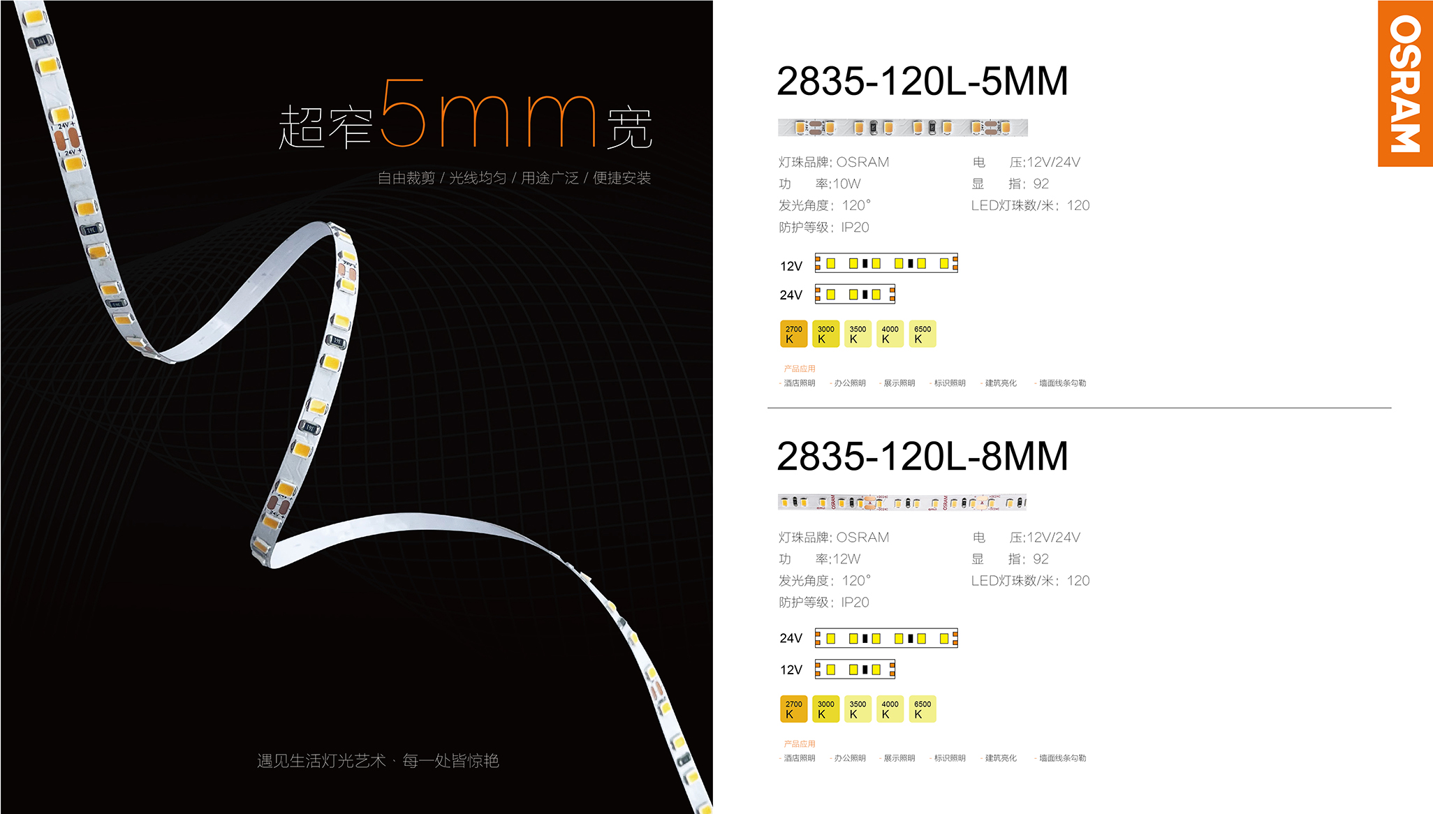 文件上传成功！