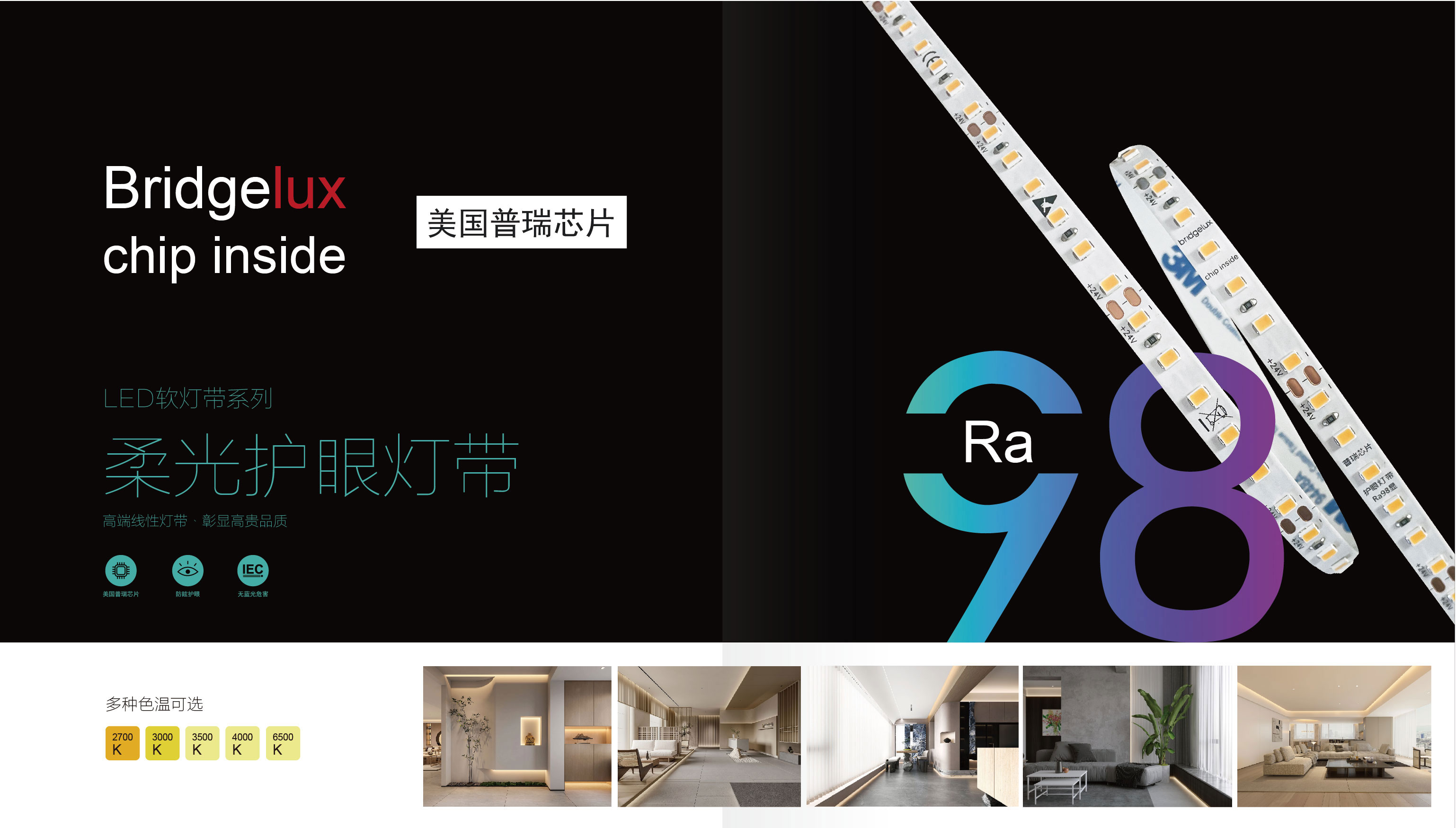 文件上传成功！