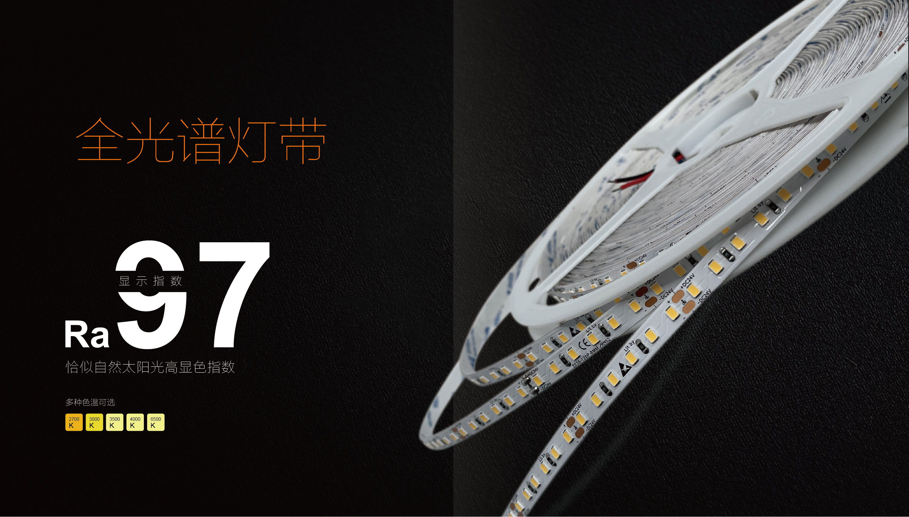 文件上传成功！