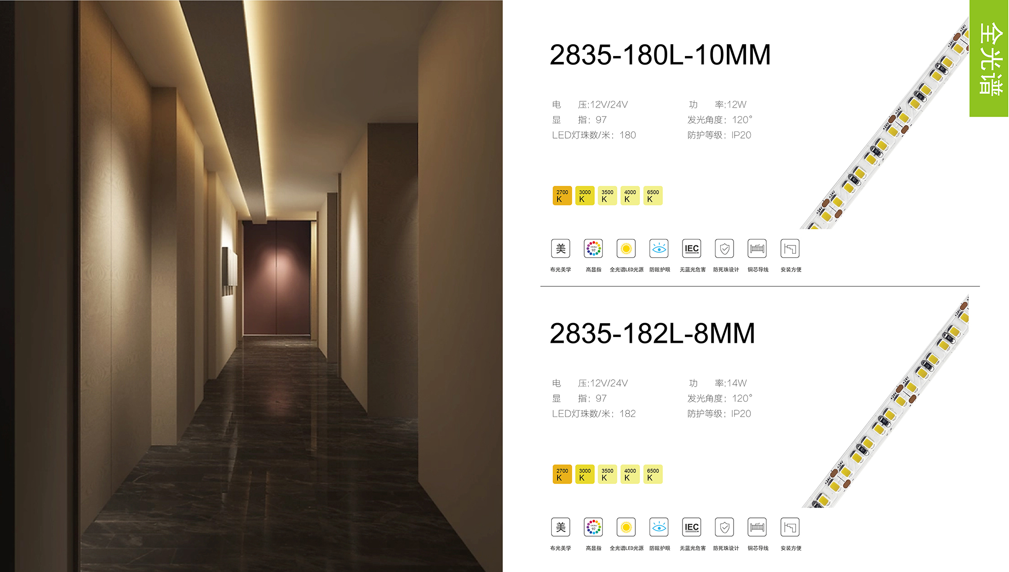 文件上传成功！