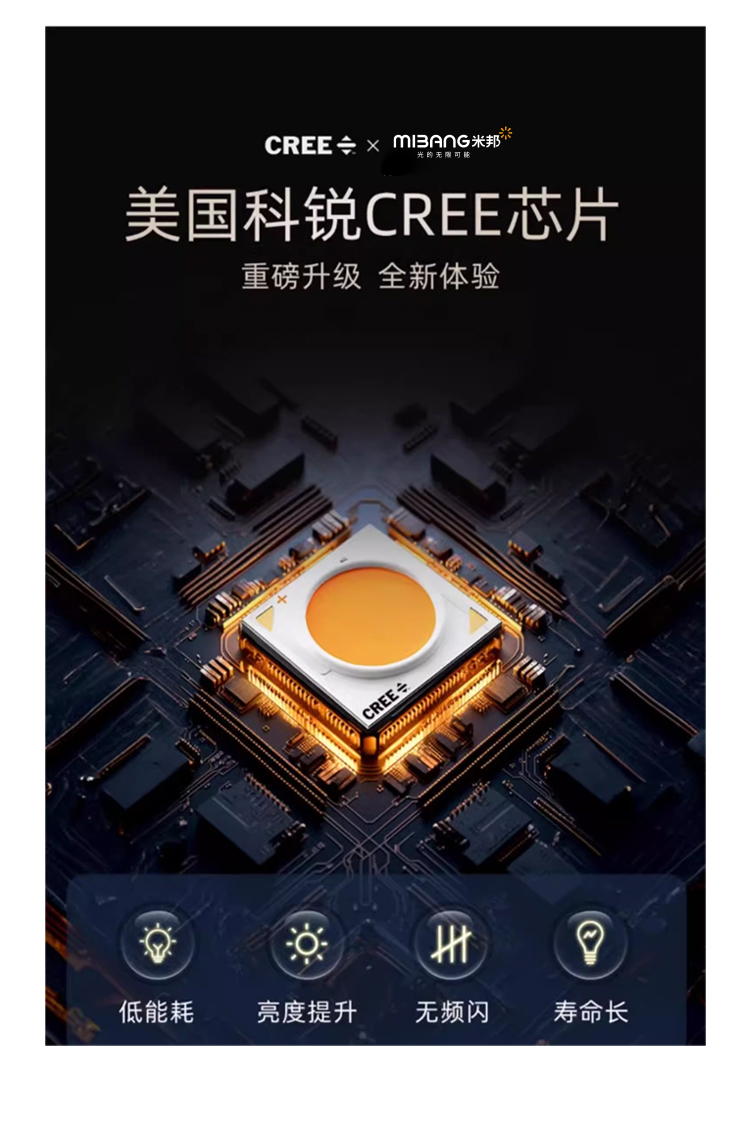 文件上传成功！