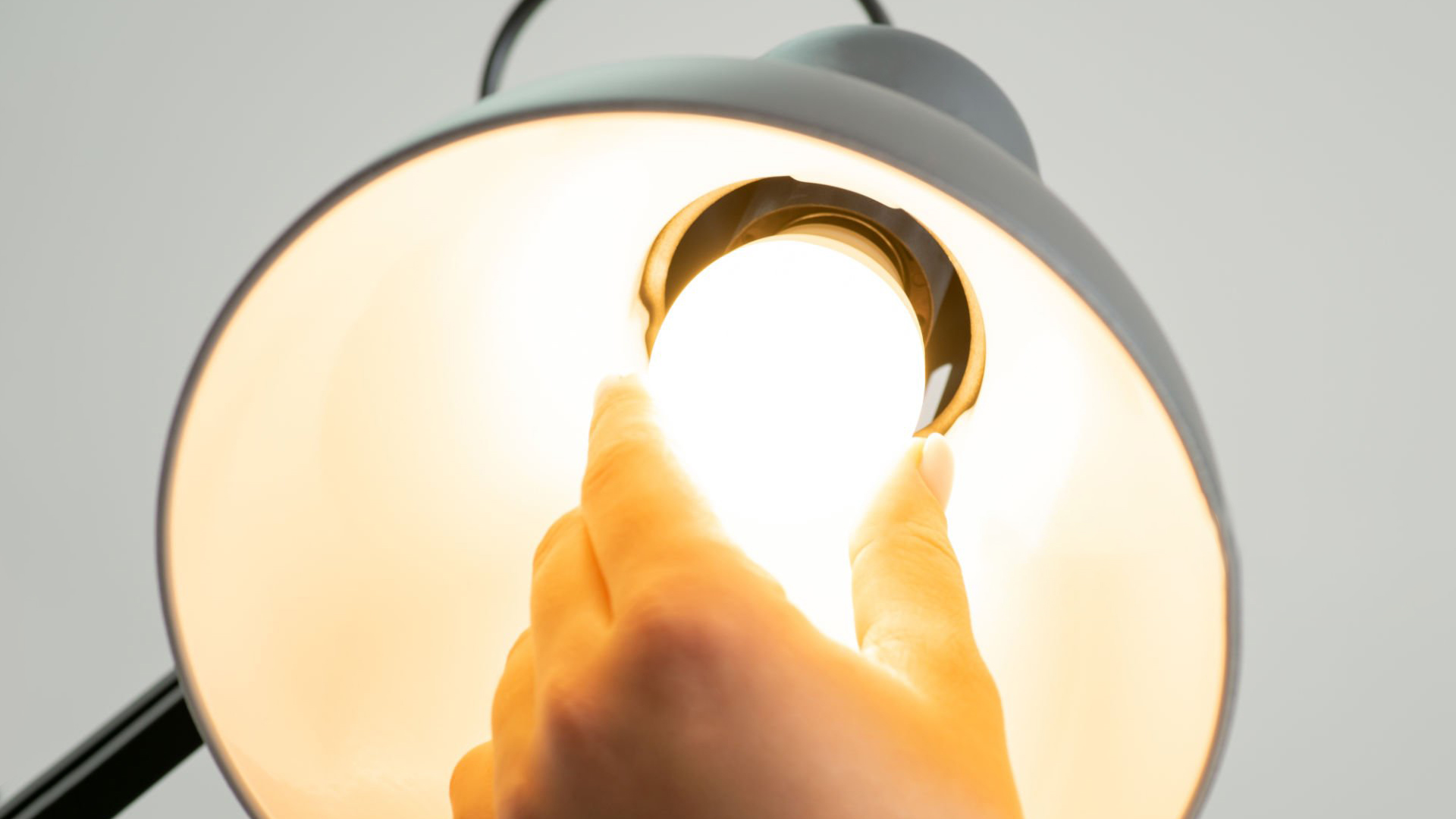 文件上传成功! 文件上传成功!