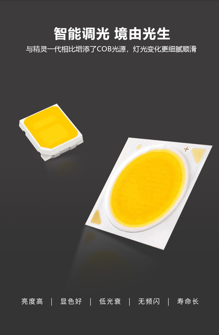 文件上传成功！