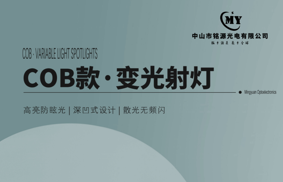 文件上传成功！