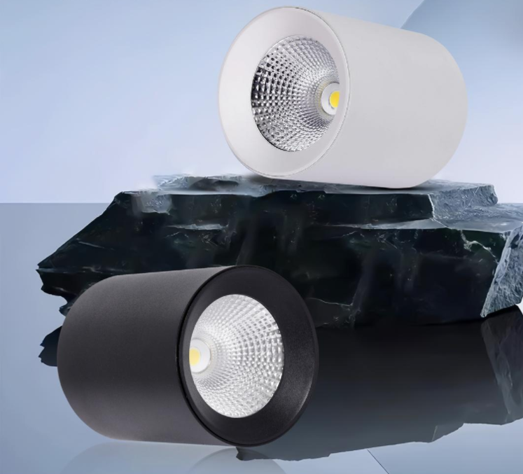 文件上传成功！