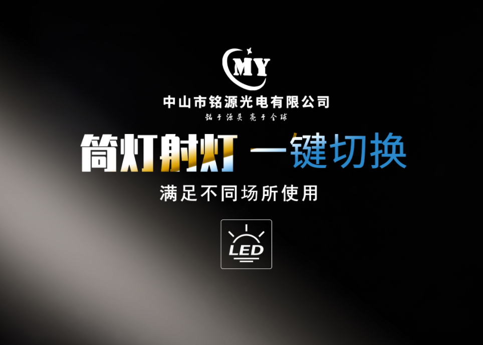 文件上传成功！