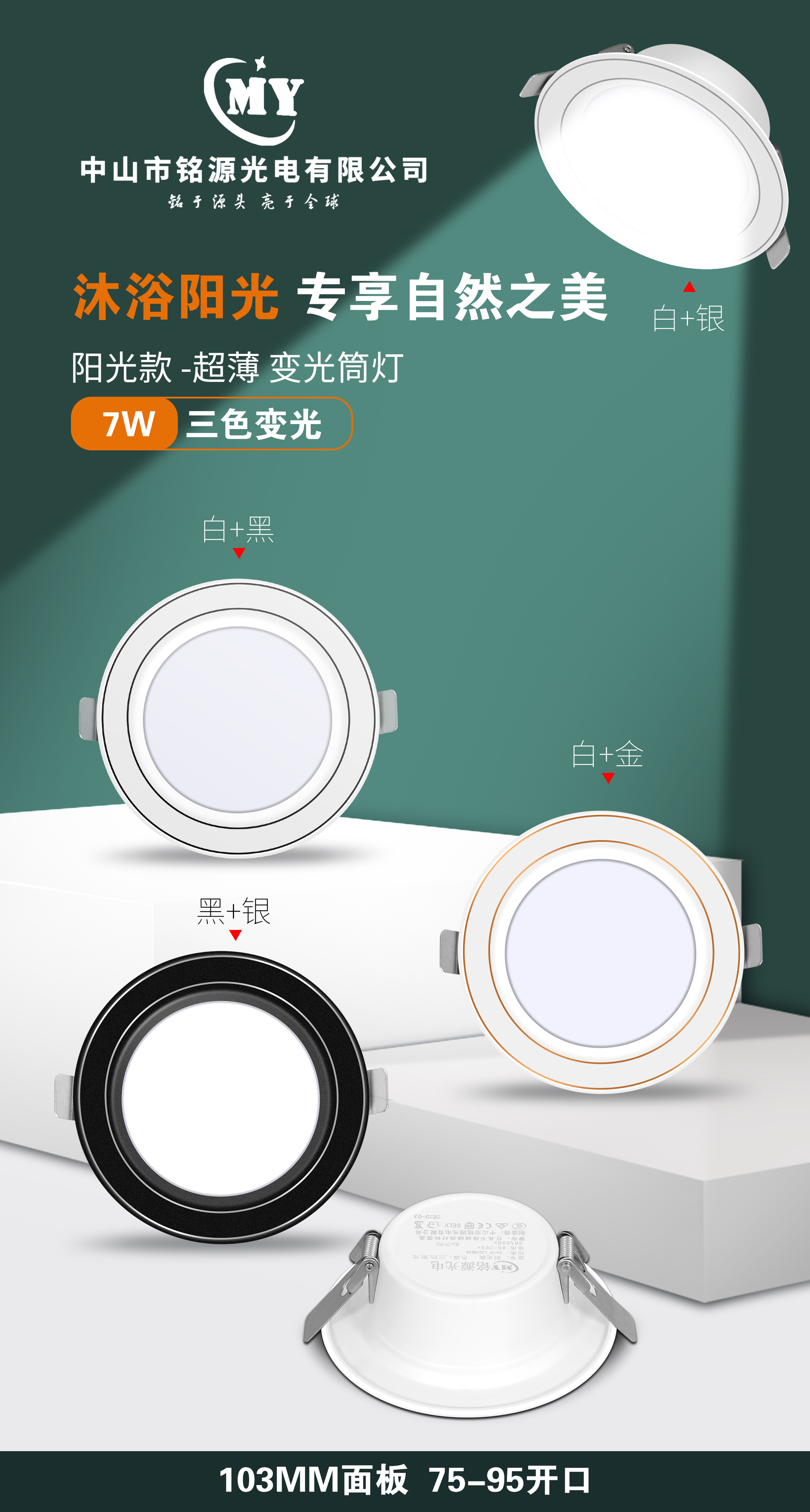 文件上传成功！