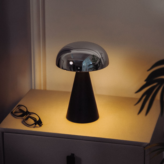 文件上传成功！