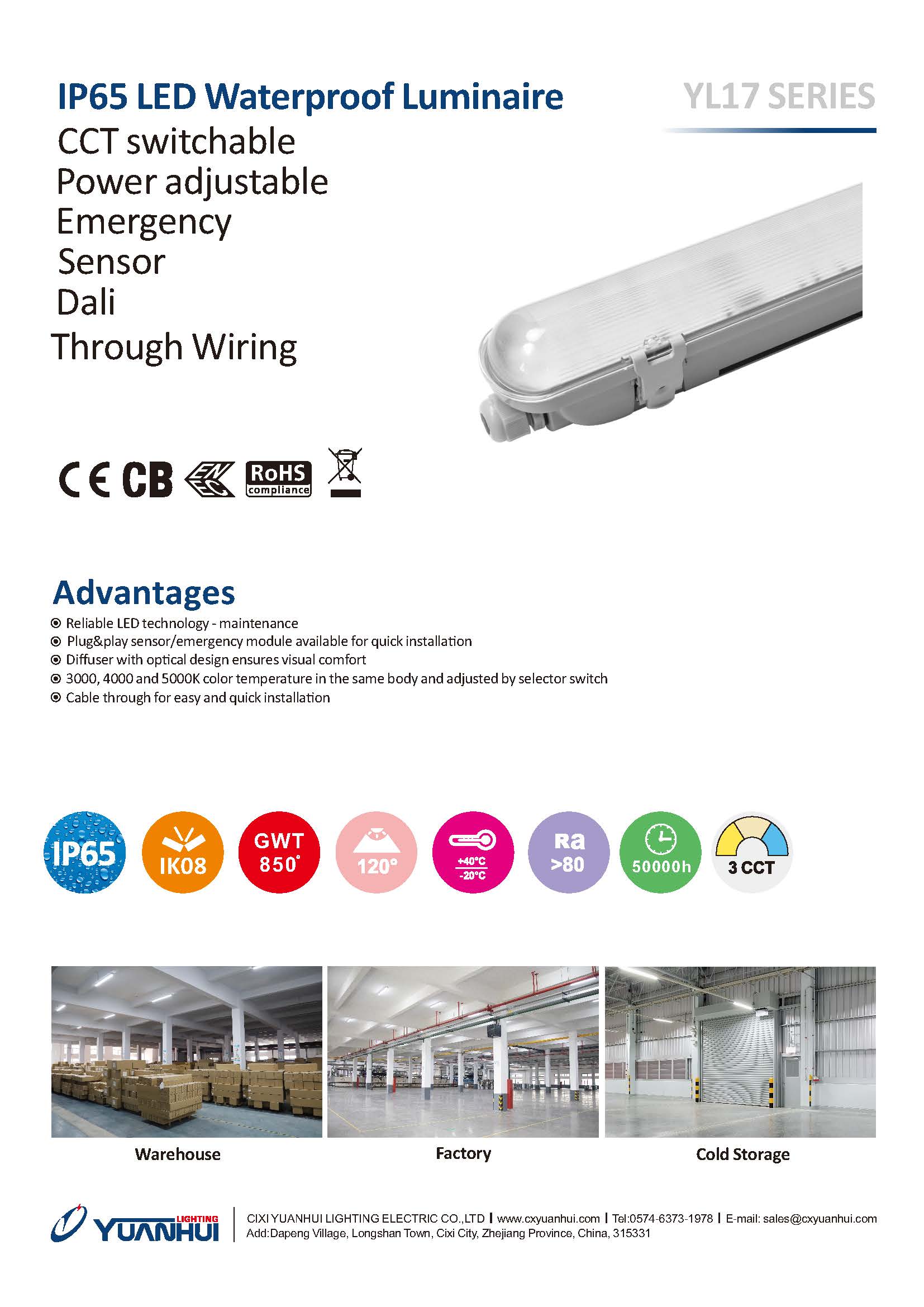 文件上传成功！