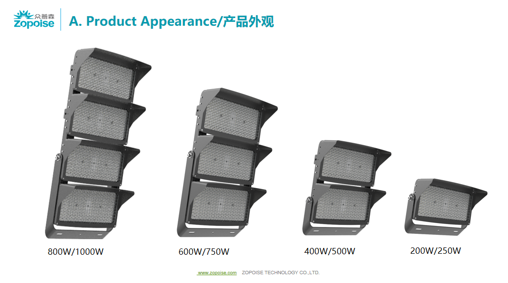 文件上传成功！