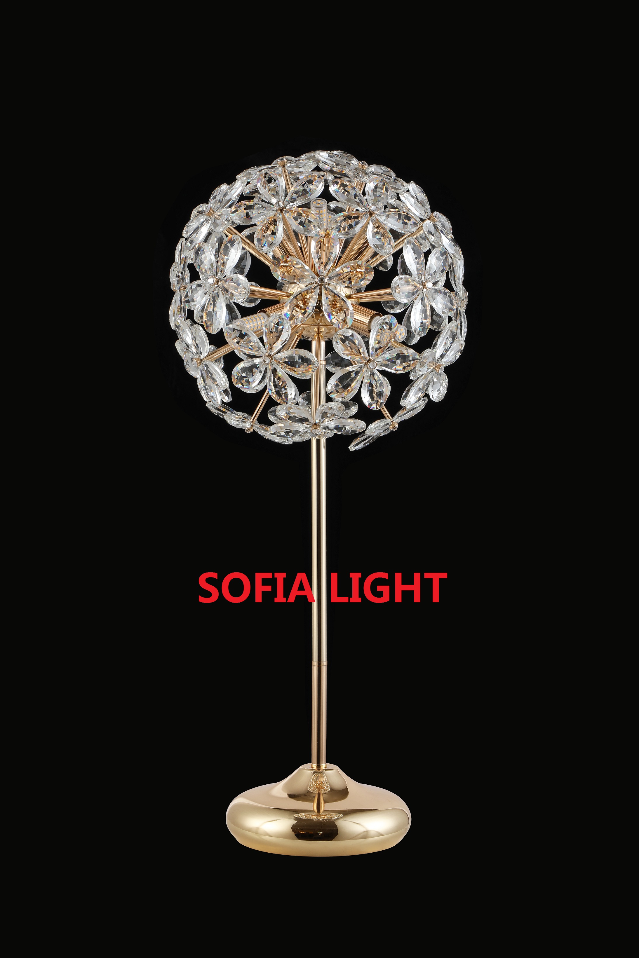 文件上传成功！