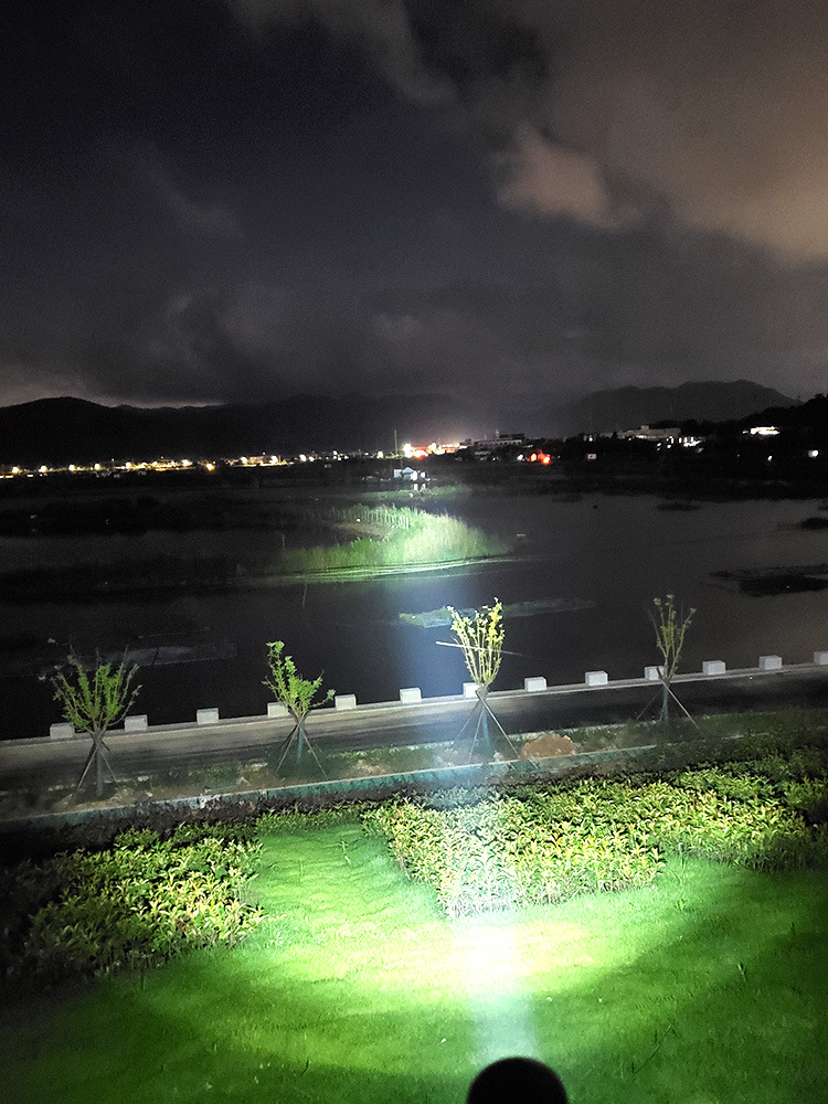 文件上传成功！