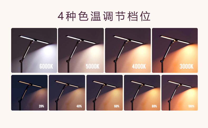 文件上传成功！