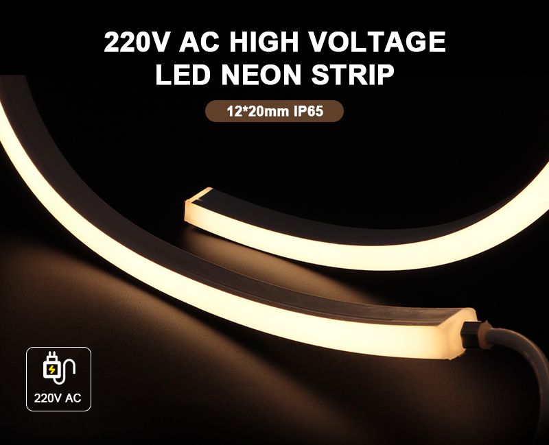 文件上传成功！