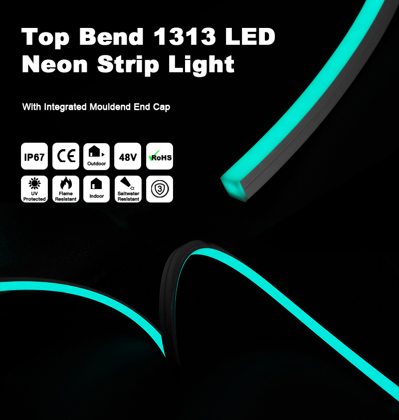 文件上传成功！