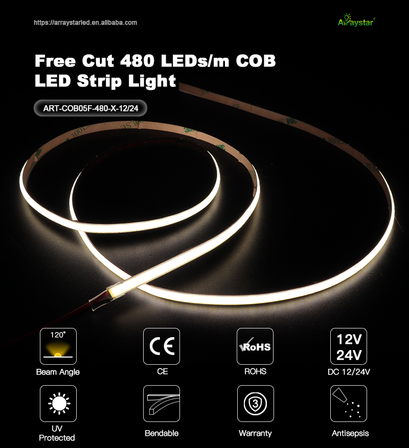 文件上传成功！