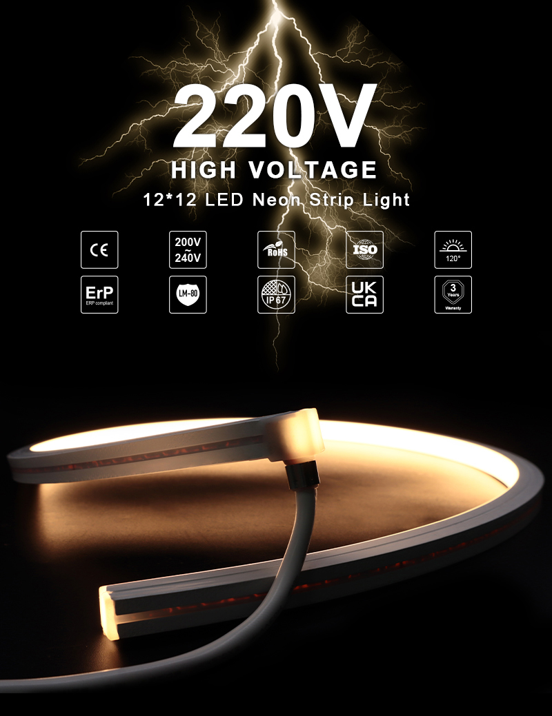 文件上传成功！