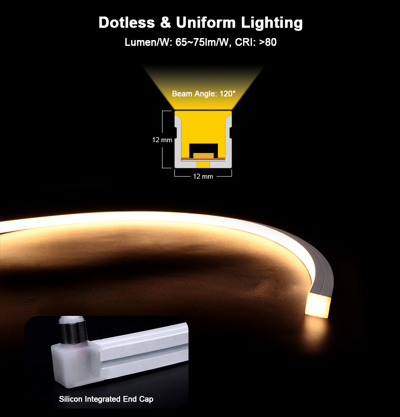 文件上传成功！