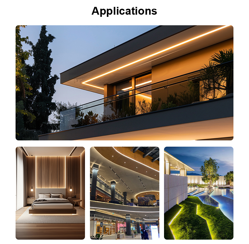 文件上传成功！