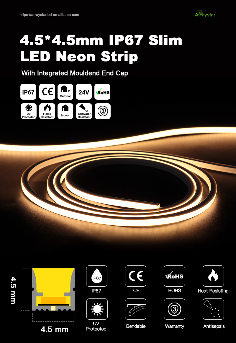 文件上传成功！