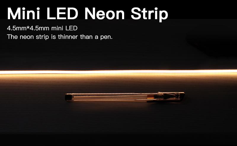 文件上传成功！