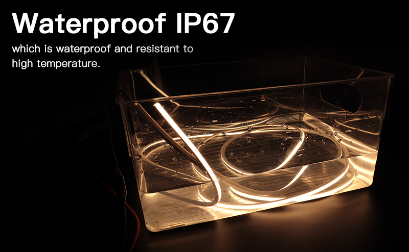 文件上传成功！