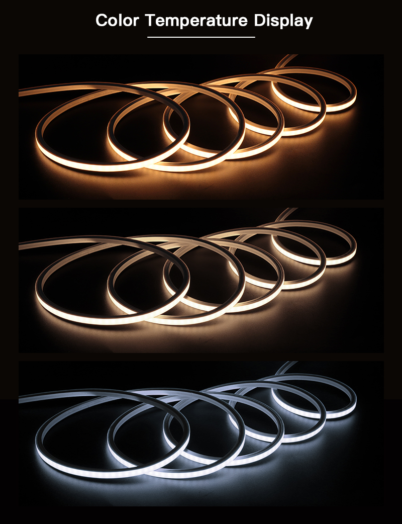 文件上传成功！