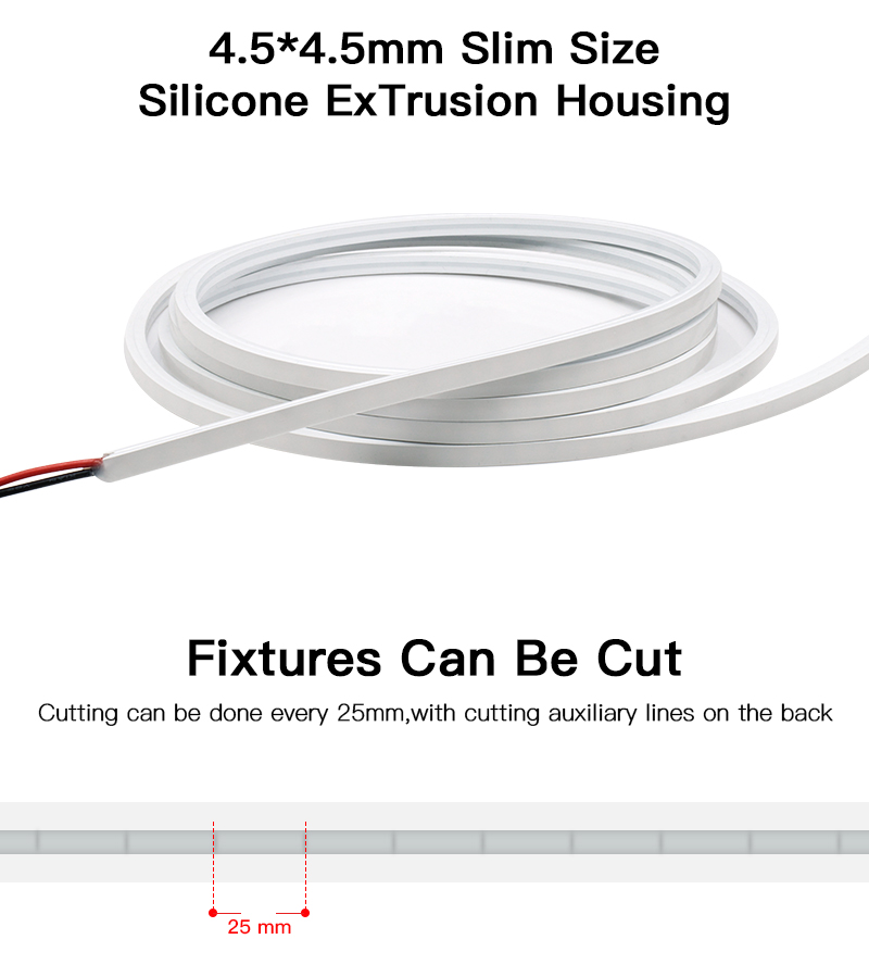 文件上传成功！