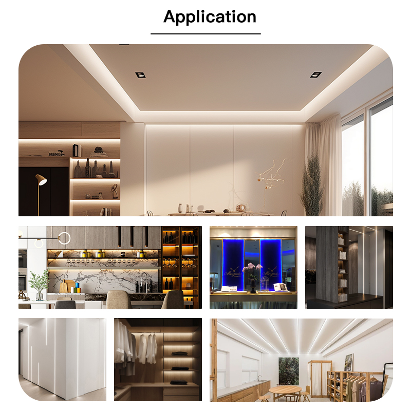 文件上传成功！