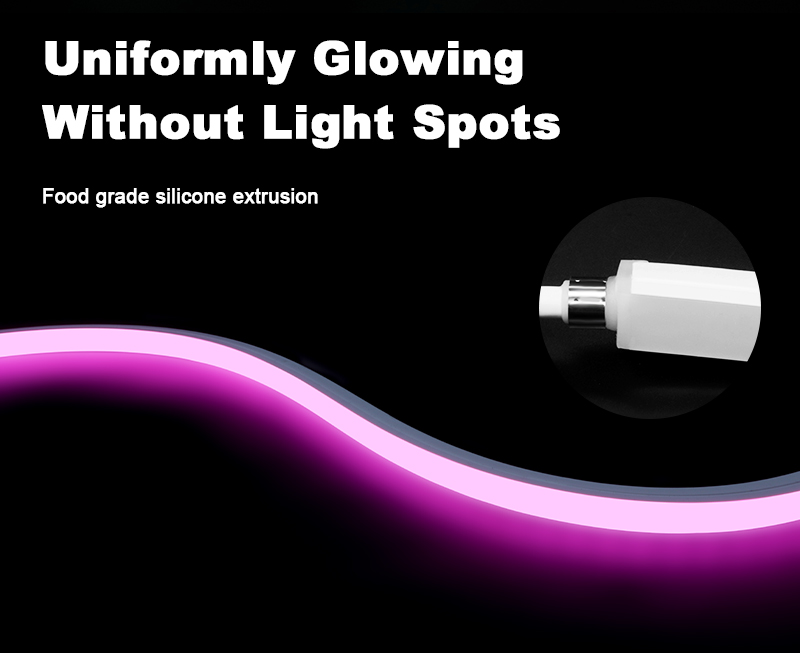 文件上传成功！