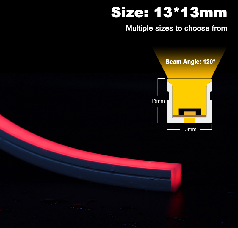 文件上传成功！