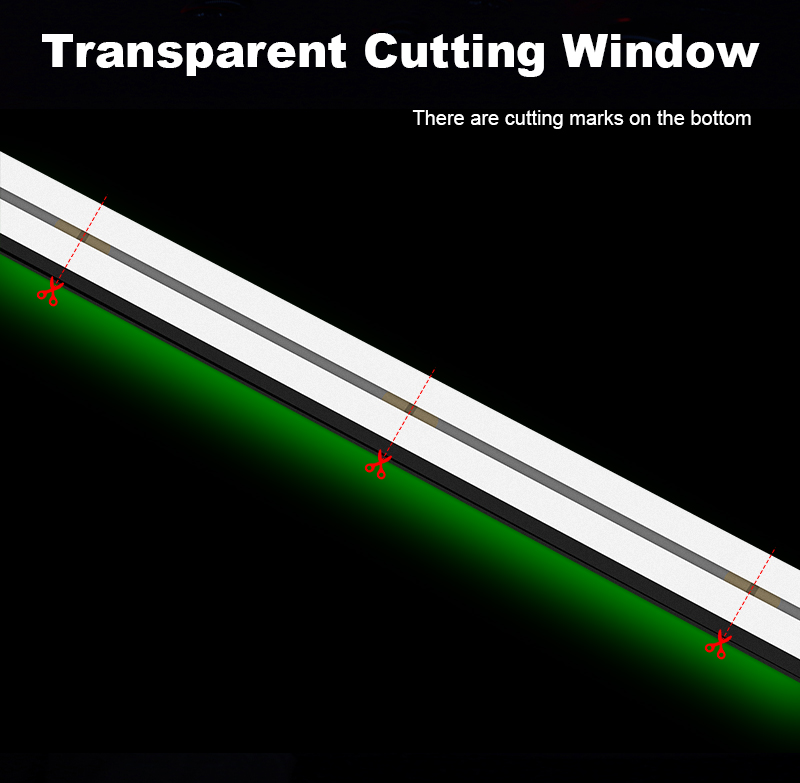 文件上传成功！