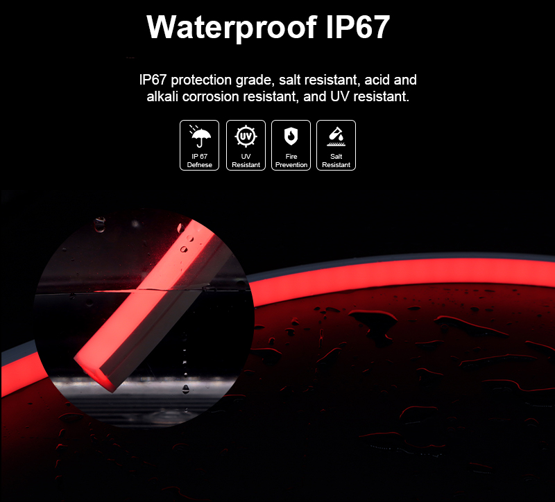 文件上传成功！