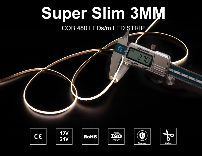 文件上传成功！