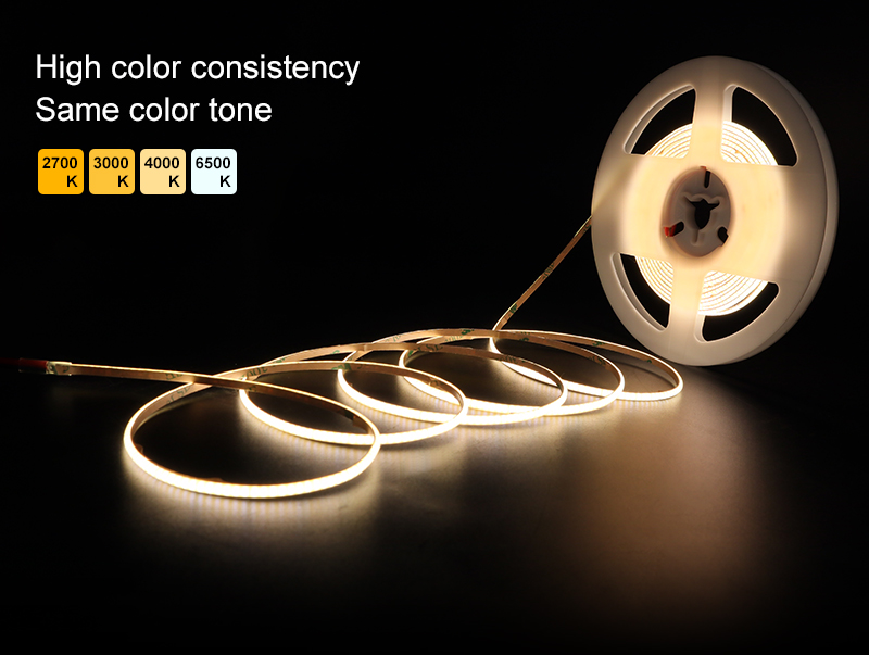 文件上传成功！