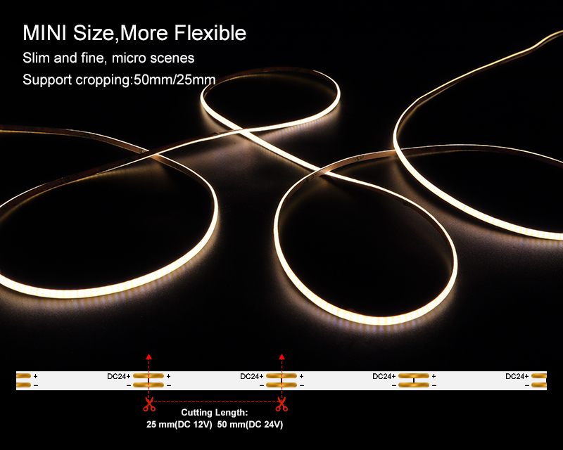 文件上传成功！