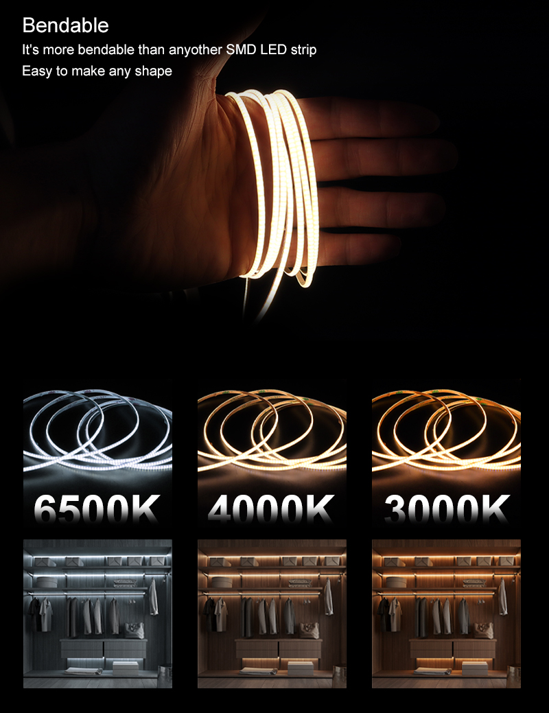 文件上传成功！