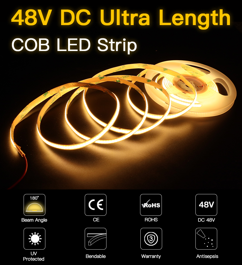 文件上传成功！