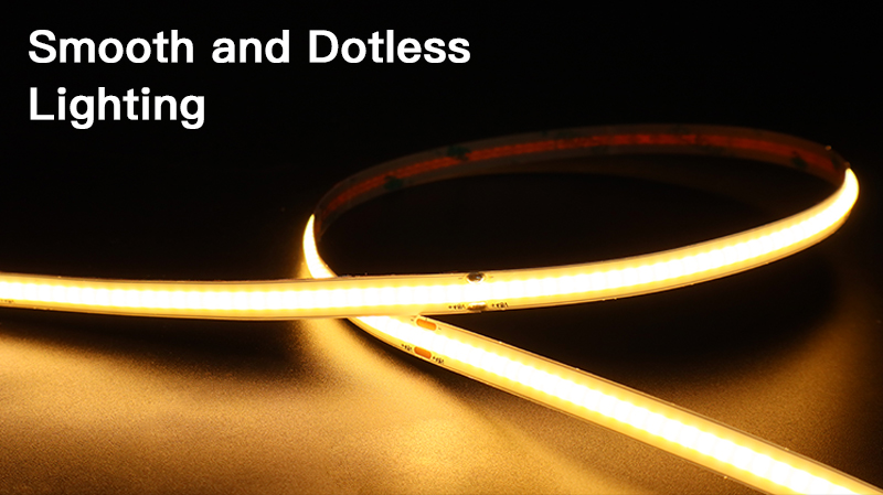 文件上传成功！