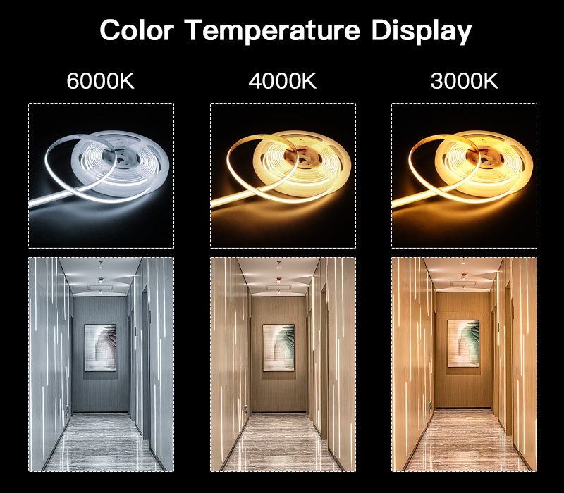 文件上传成功！