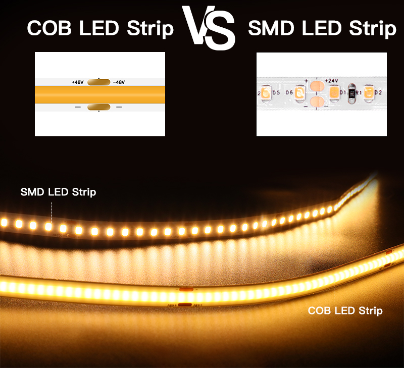 文件上传成功！