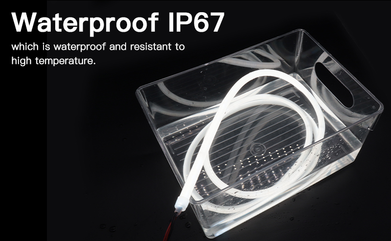 文件上传成功！