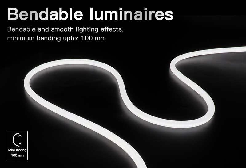 文件上传成功！