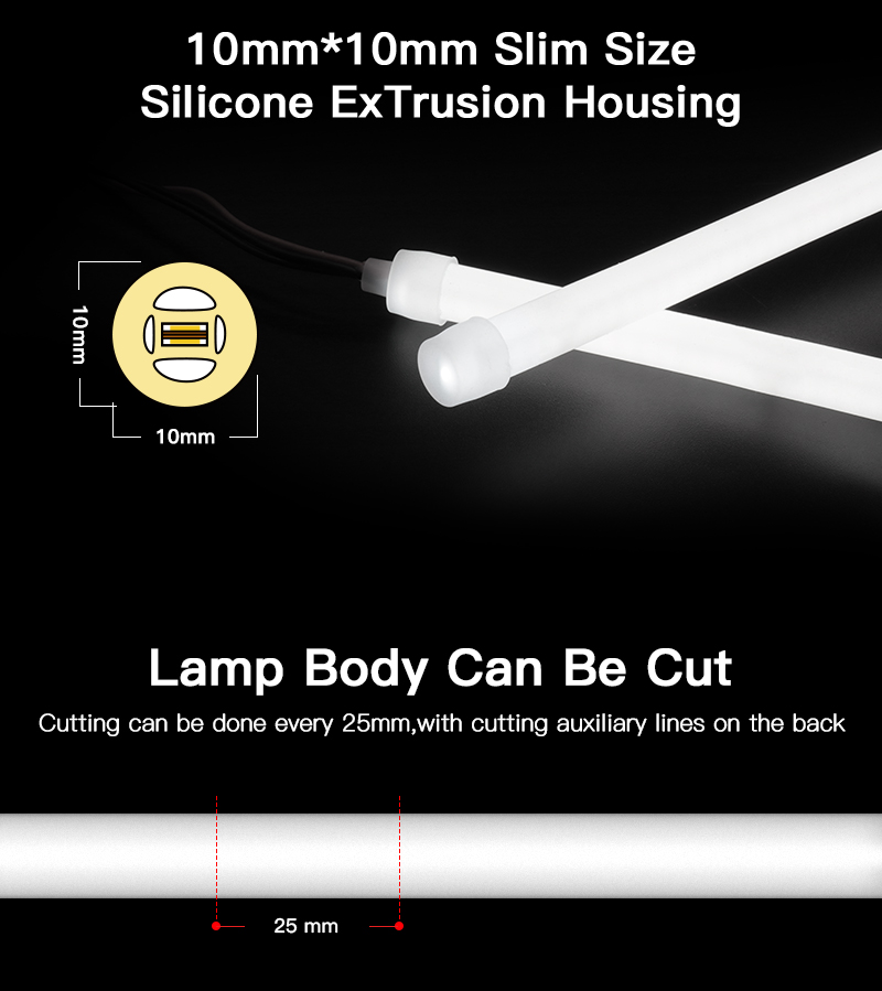 文件上传成功！