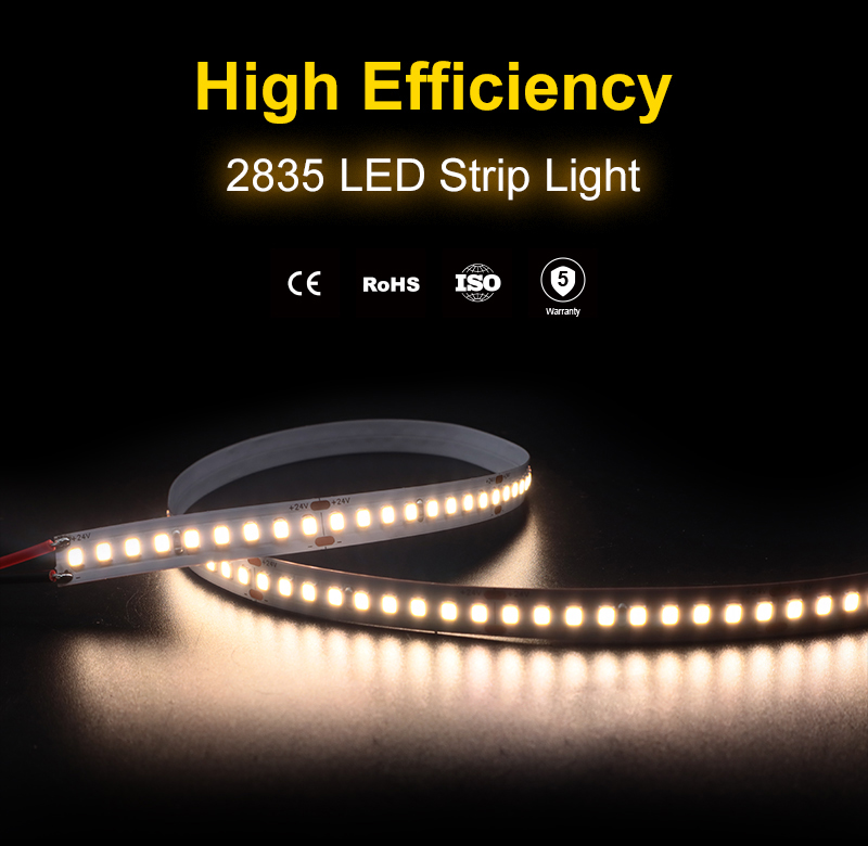 文件上传成功！