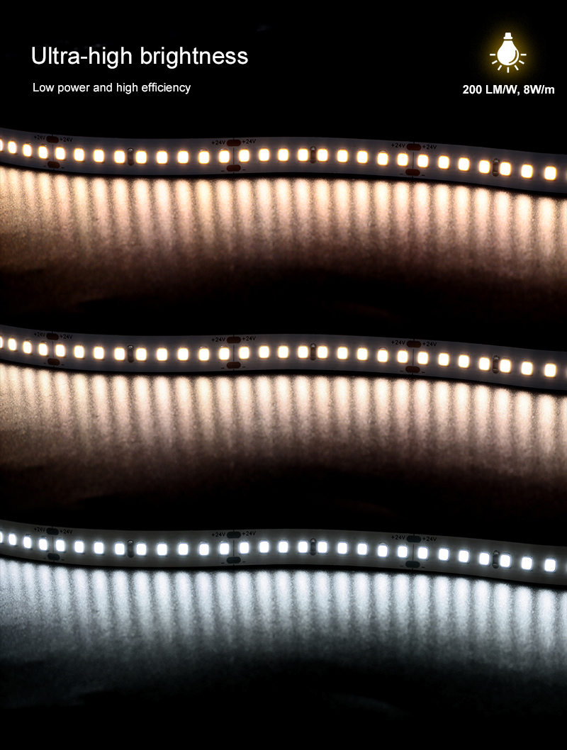 文件上传成功！