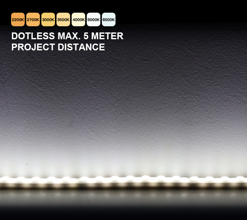 文件上传成功！