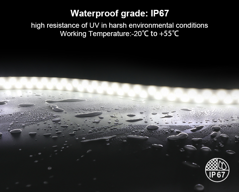 文件上传成功！