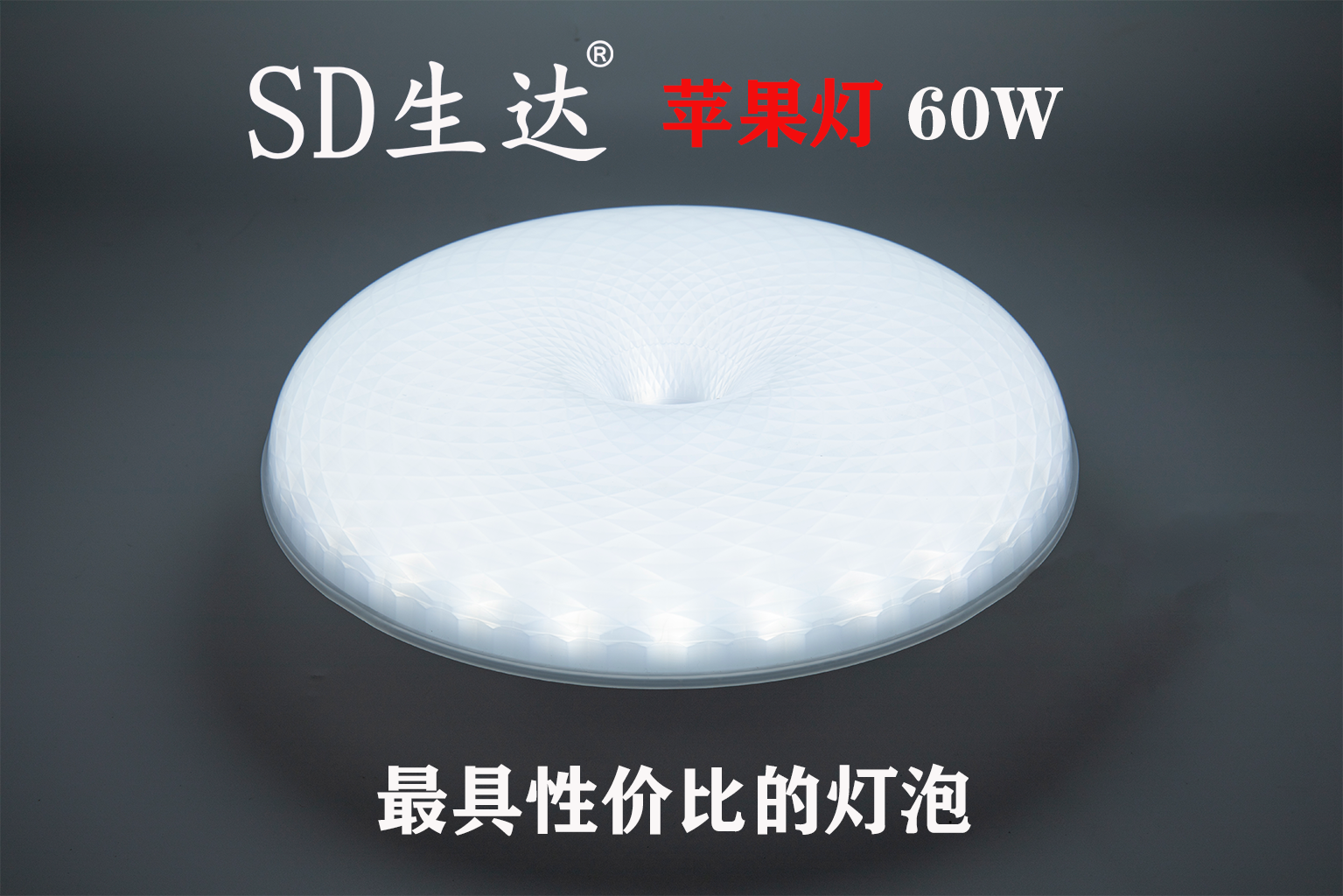 文件上传成功！